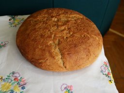 b_1024_768_0_00_images_2022_2023_Wydarzenia_biskup_330167189_966182914547859_2077640070792466435_n